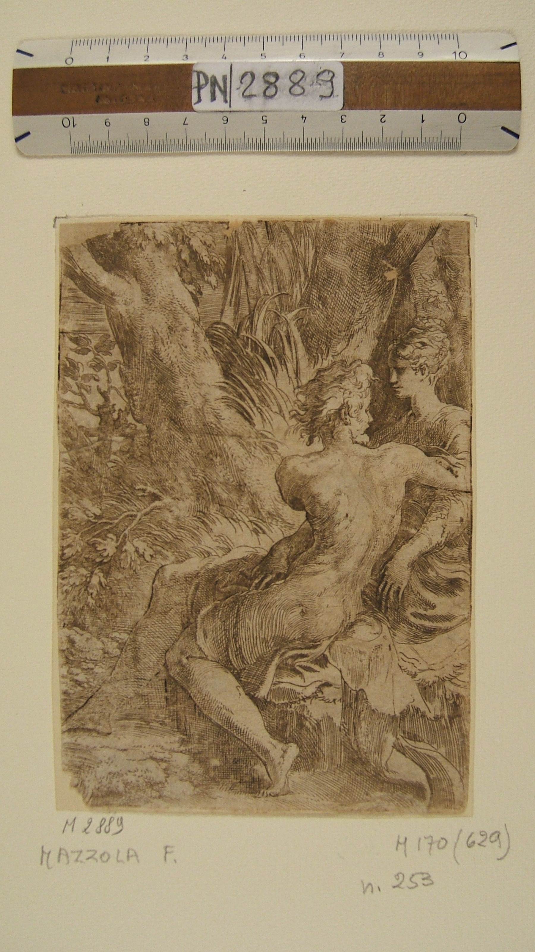 Mazzola Francesco detto il Parmigianino - I due amanti